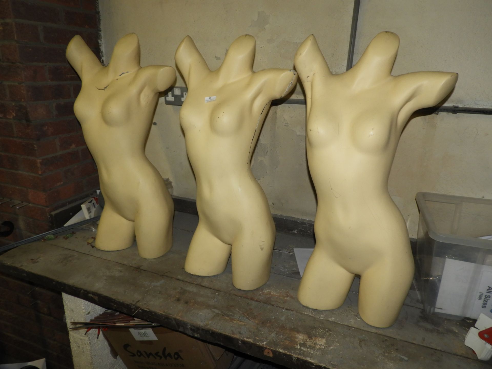 *Three Female Torsos