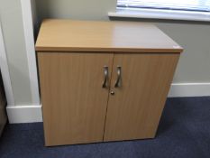 Two Door Office Storage Unit in LIght Beech and Brushed Stainless Steel Finish