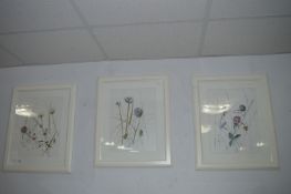 Three Floral Print with White Frames