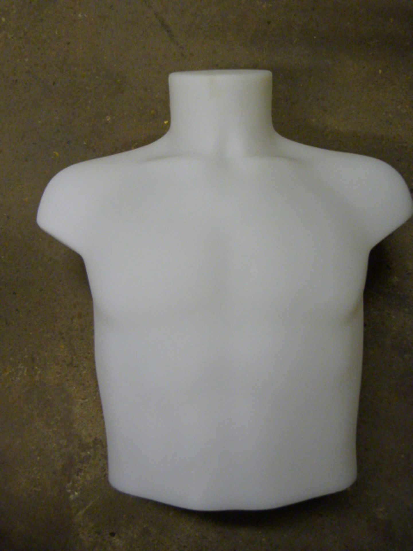 Male Mannequin Torso