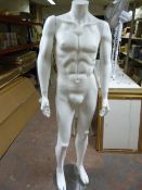 Male Mannequin on Stand