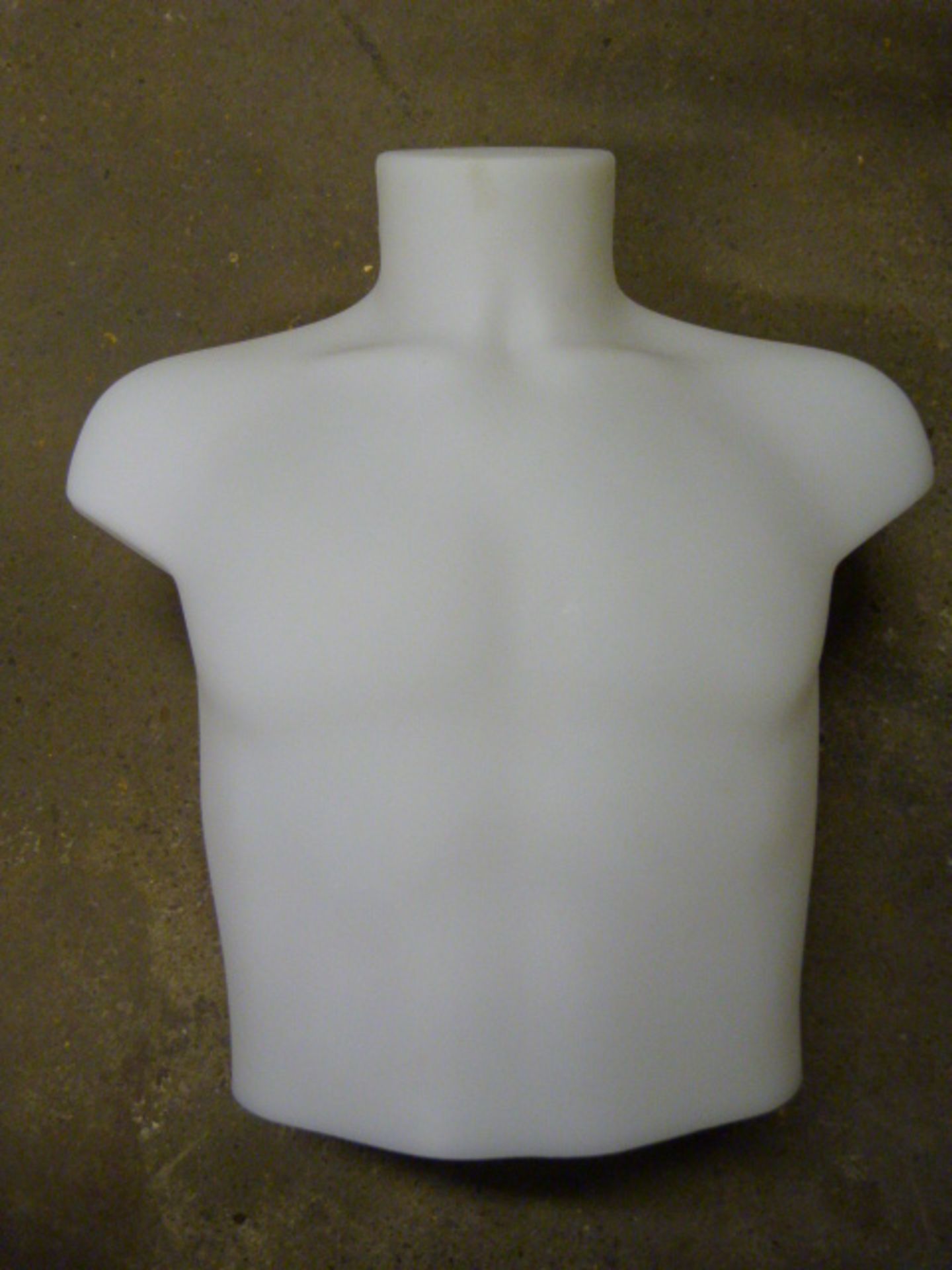 Male Mannequin Torso