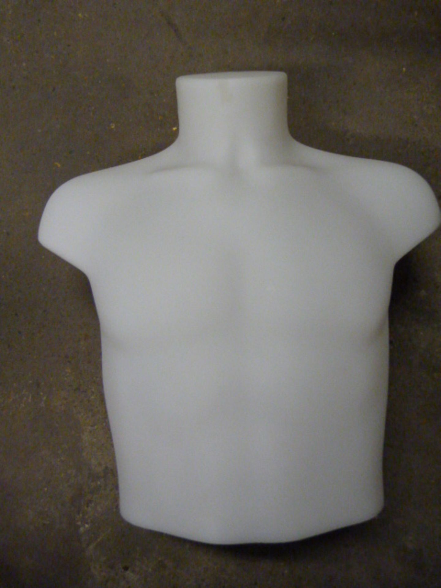 Male Mannequin Torso