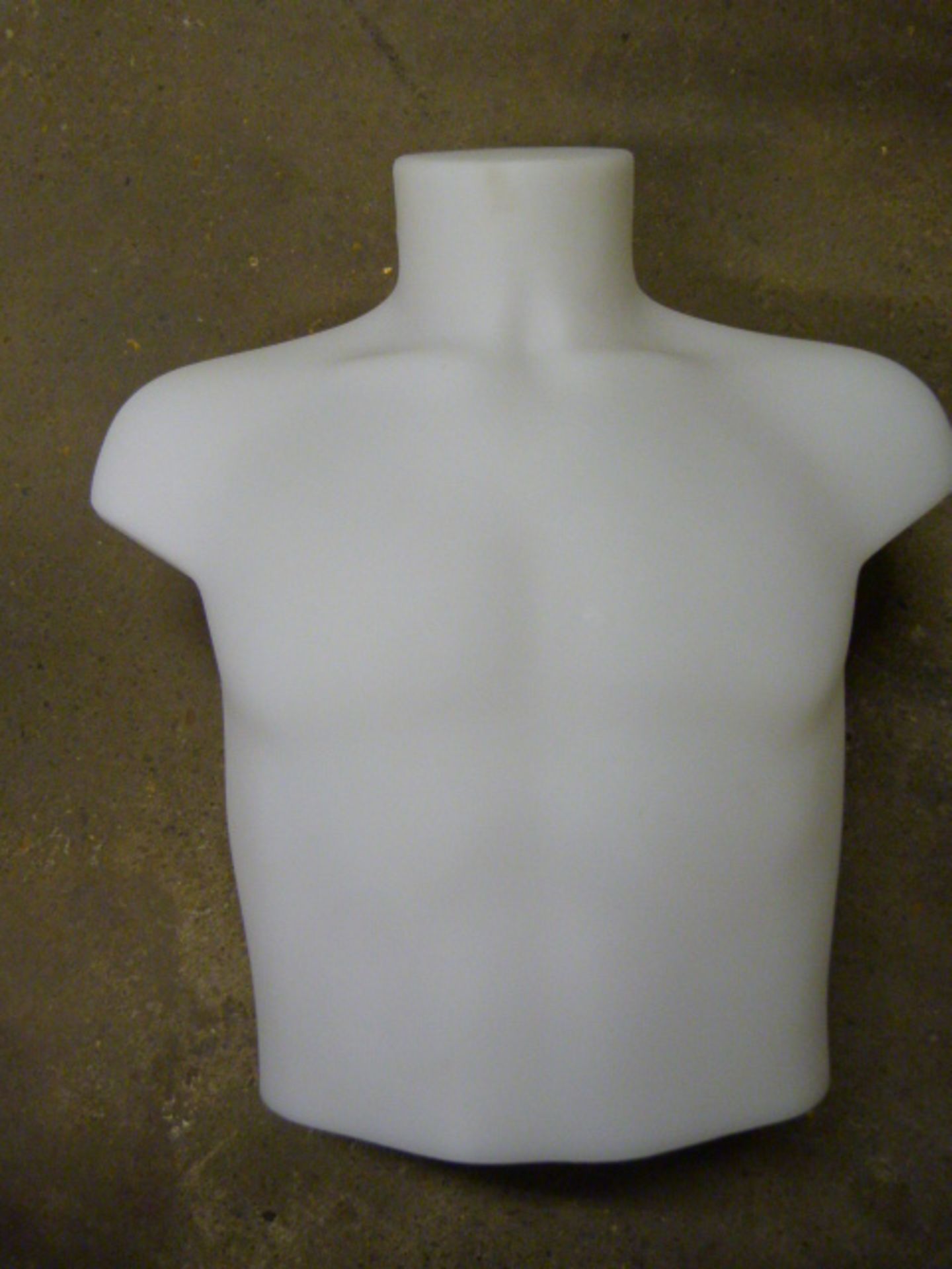 Male Mannequin Torso