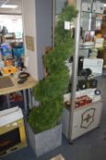*5ft Cedar Spiral Topiary