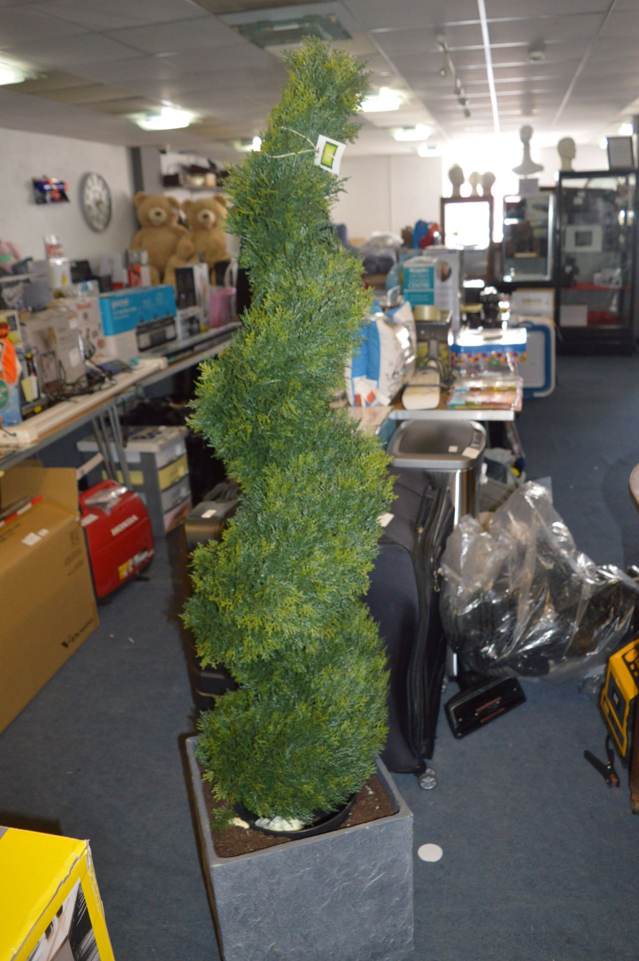 *5ft Cedar Spiral Topiary