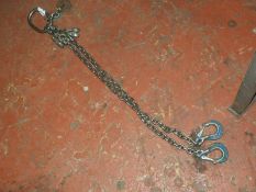 *Pair of Two Leg Lifting Chains