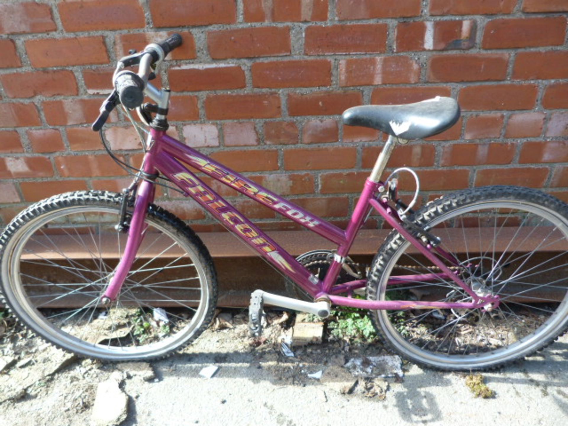 Falcon Firefox Bike