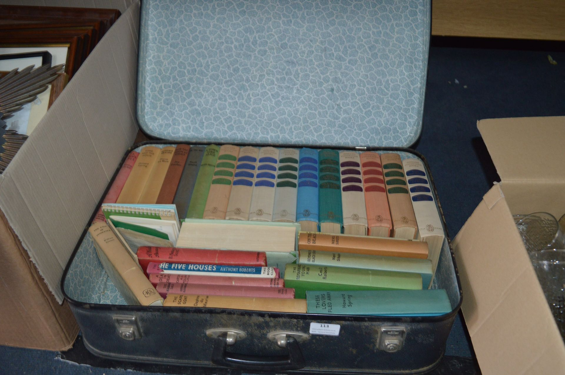 Suitcase Containing Novels