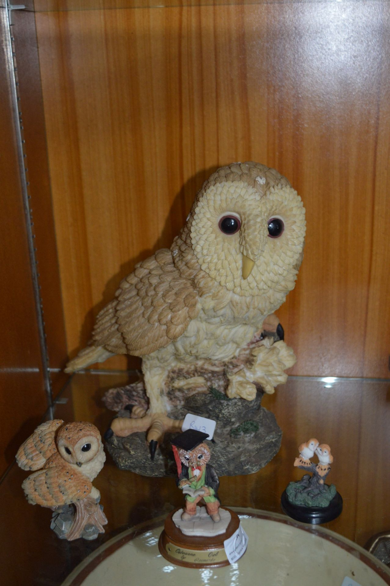 Collection of Owls