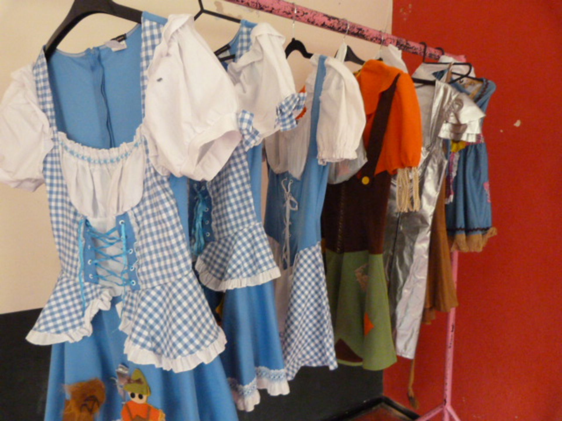 *Seven Wizard of Oz Costumes