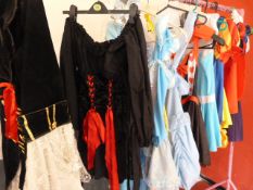 *Ten Assorted Fairy Tale Costumes