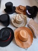 *Eight Assorted Hats