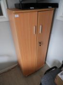 *Stationery Cabinet Enclosed by Double Doors In Li