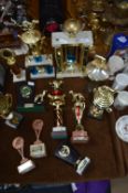 Large Collection of Greyhound Sporting Trophies