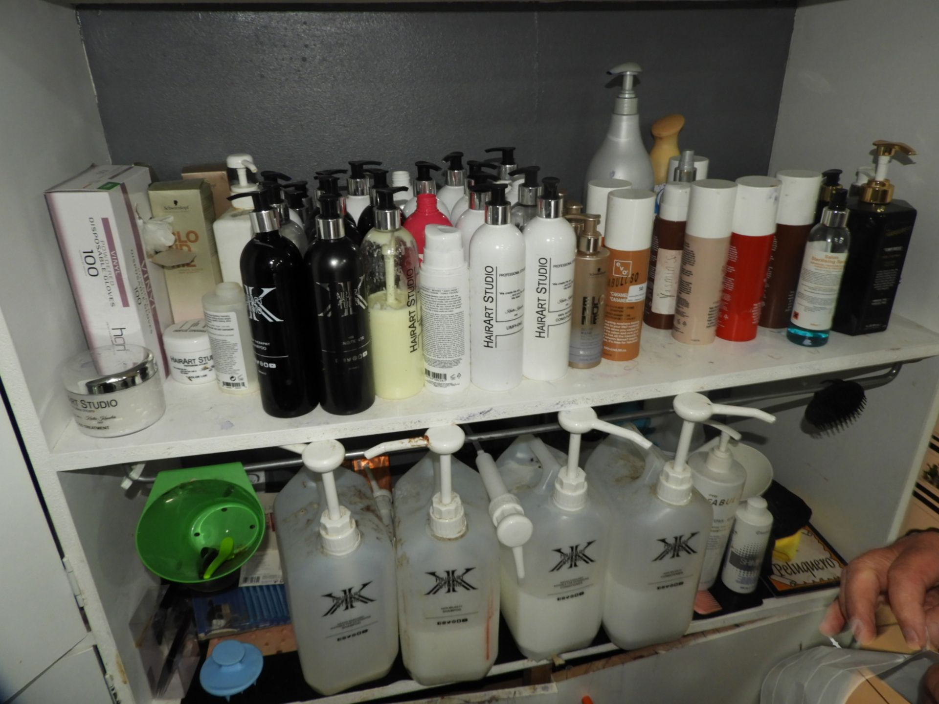 Large Quantity of Assorted Hair Products