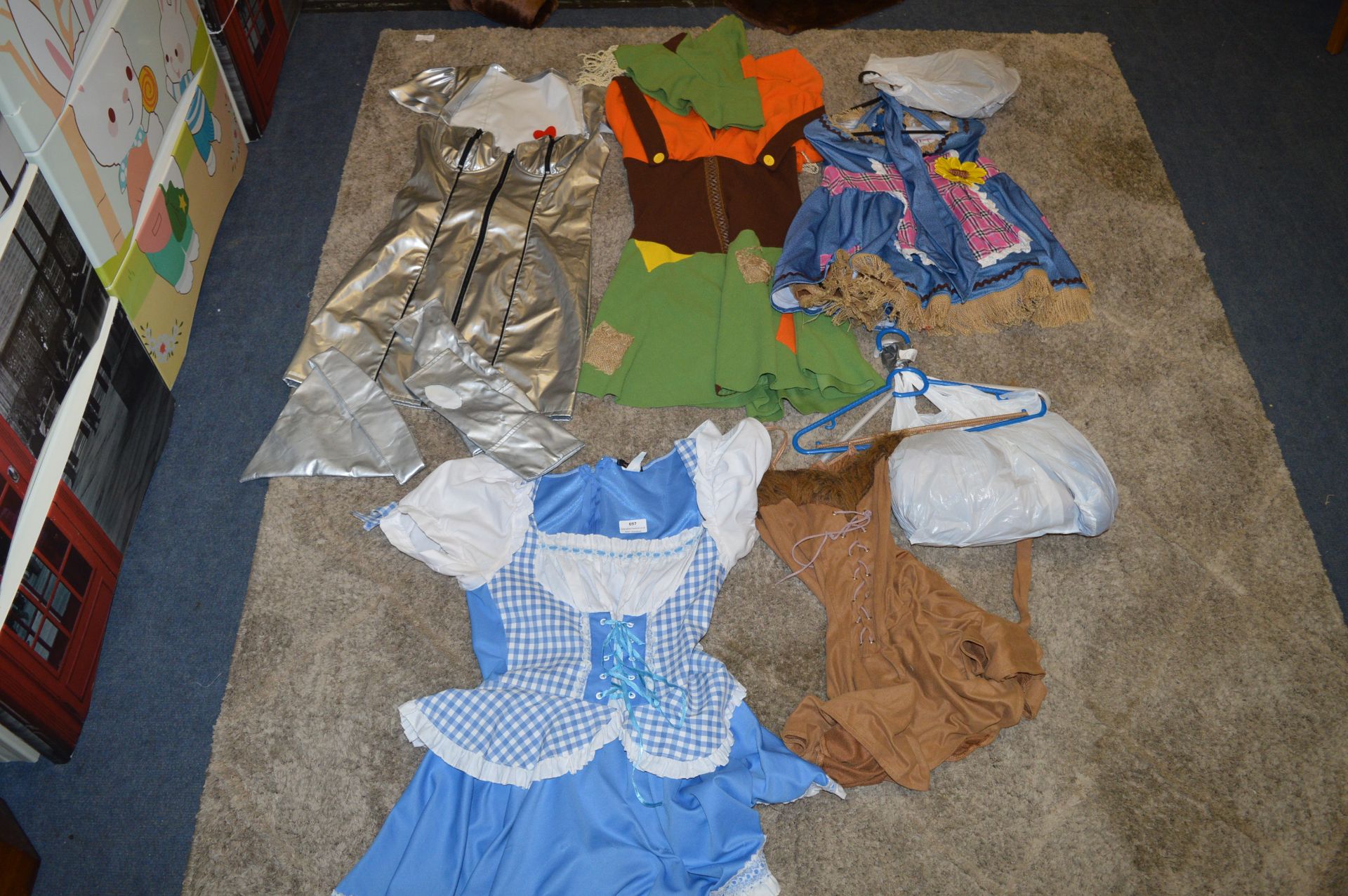 Assorted Fancy Dress Outfits