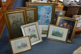 Quantity of Framed Prints and Pictures