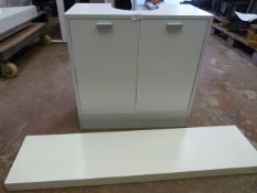 Under Sink Bathroom Cabinet & Shelf