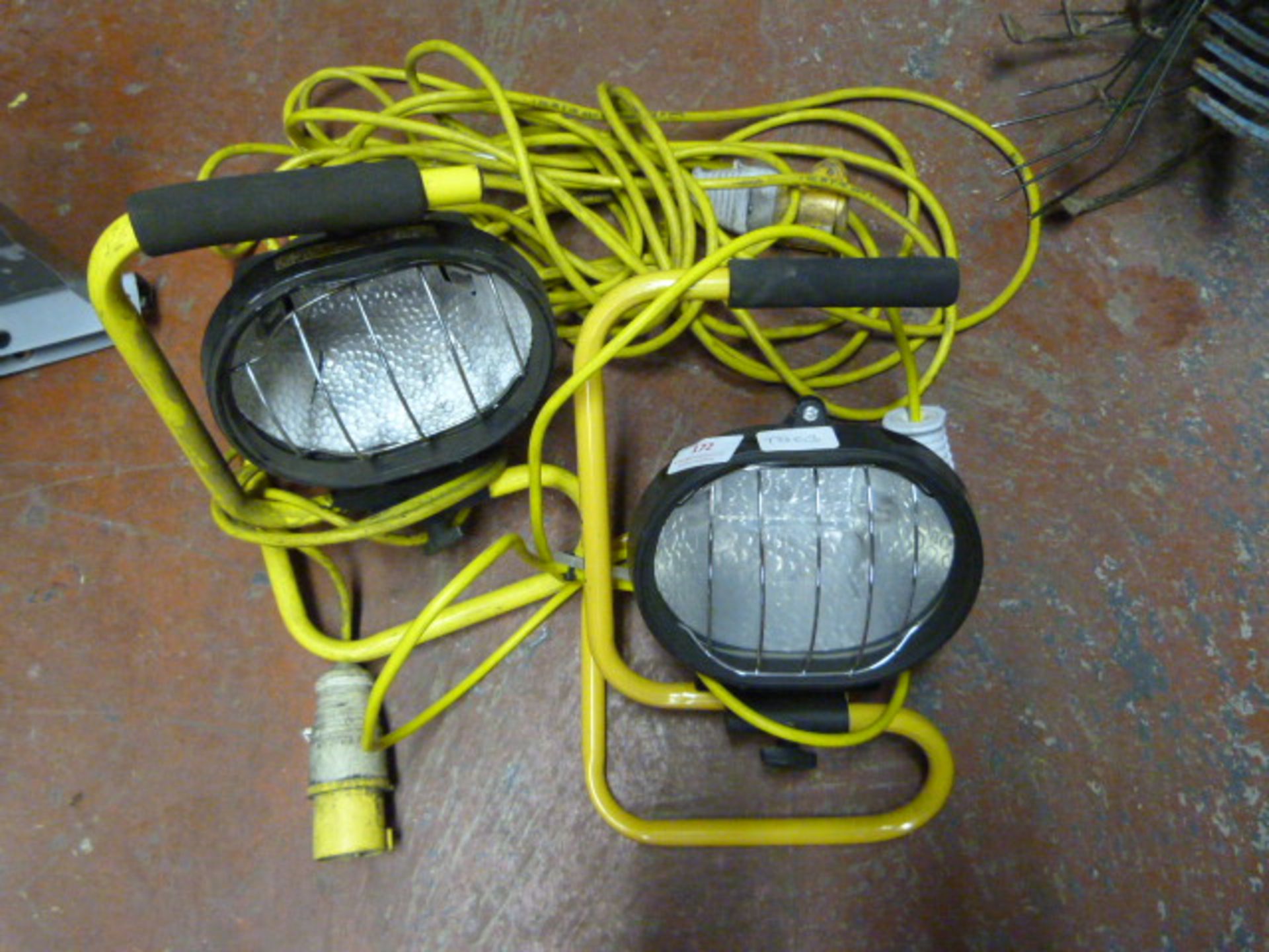 *Two Site Lamps and an Extension Lead