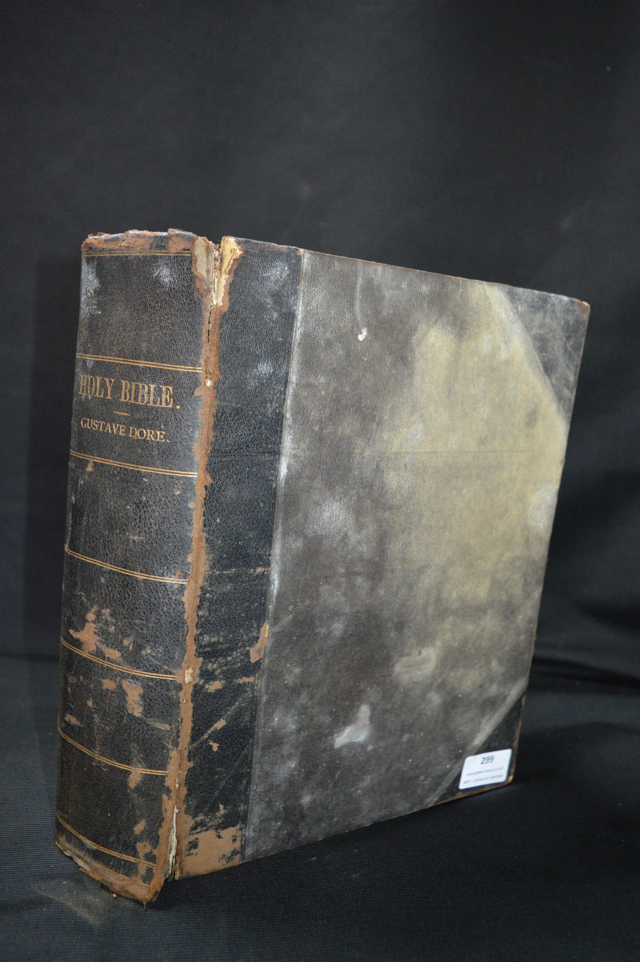 Victorian Bible 1898