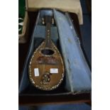 Vintage Lute with Case