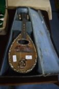 Vintage Lute with Case