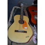 Texan Acoustic Guitar