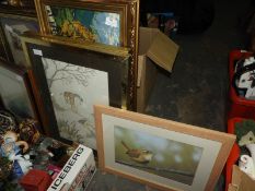 Six Framed Pictures and Embroideries