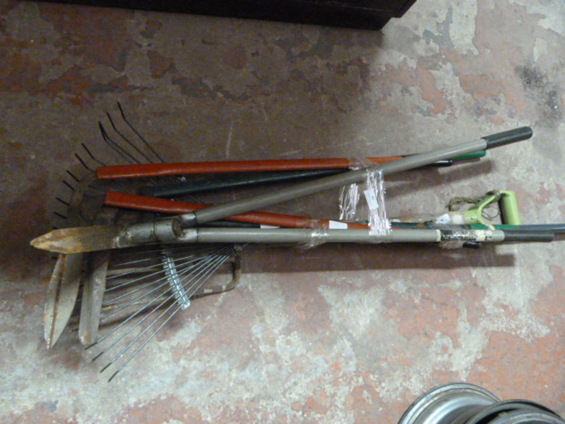 Bundle of Garden Tools