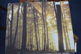 Canvas Print - Forest Scene