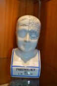 Reproduction Phrenology Head by MLN Fowler