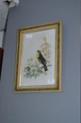 Victorian Gilt Framed Painting on Glass - Bird on