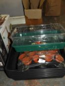 *Assorted Seed Trays