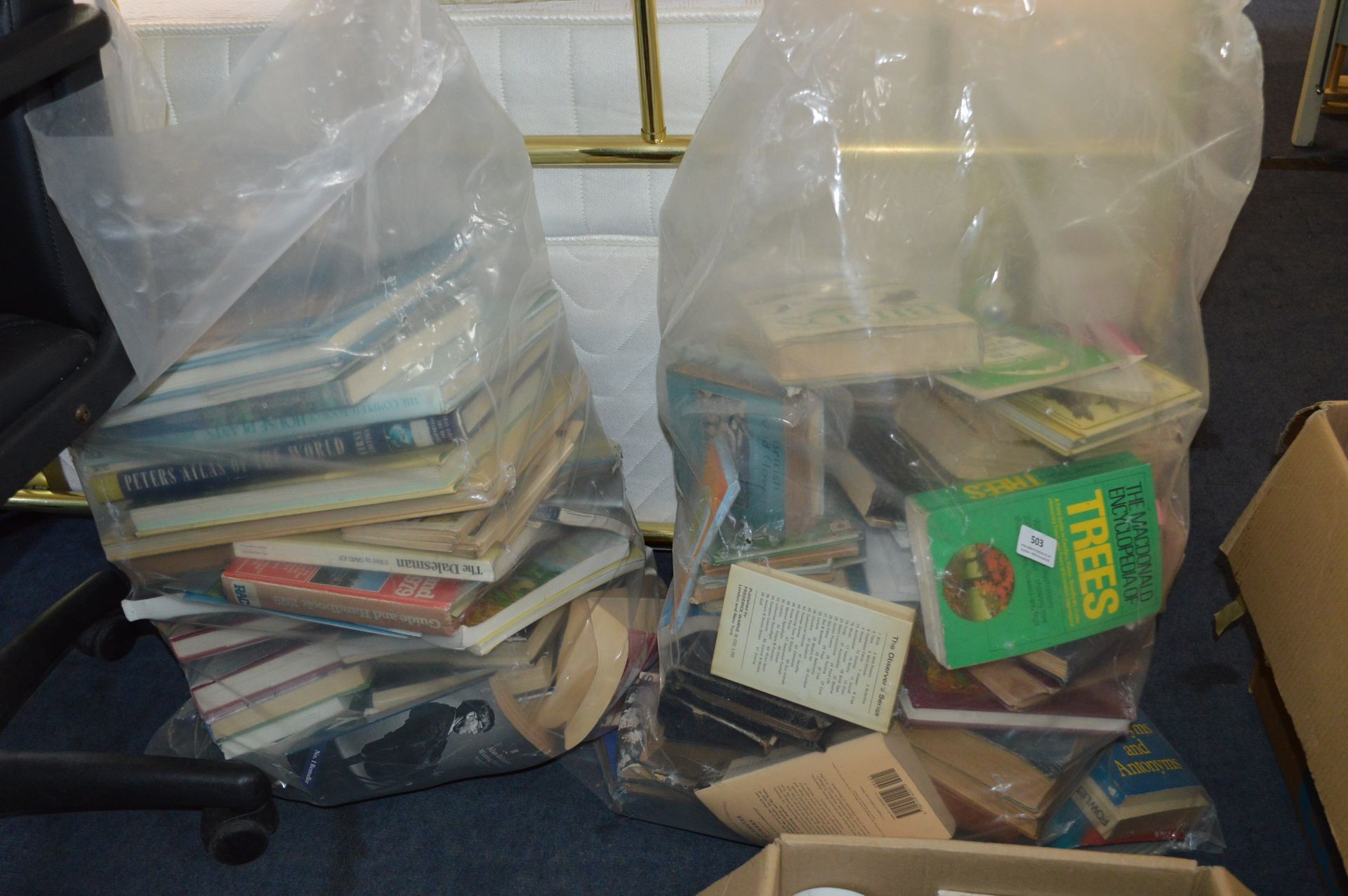 Two Large Bags of Assorted Books