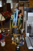 Assortment of Sporting Trophies