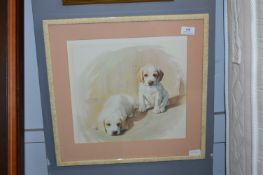 Framed Print - Puppies