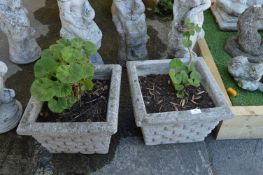 Pair of 14" Square Garden Planters