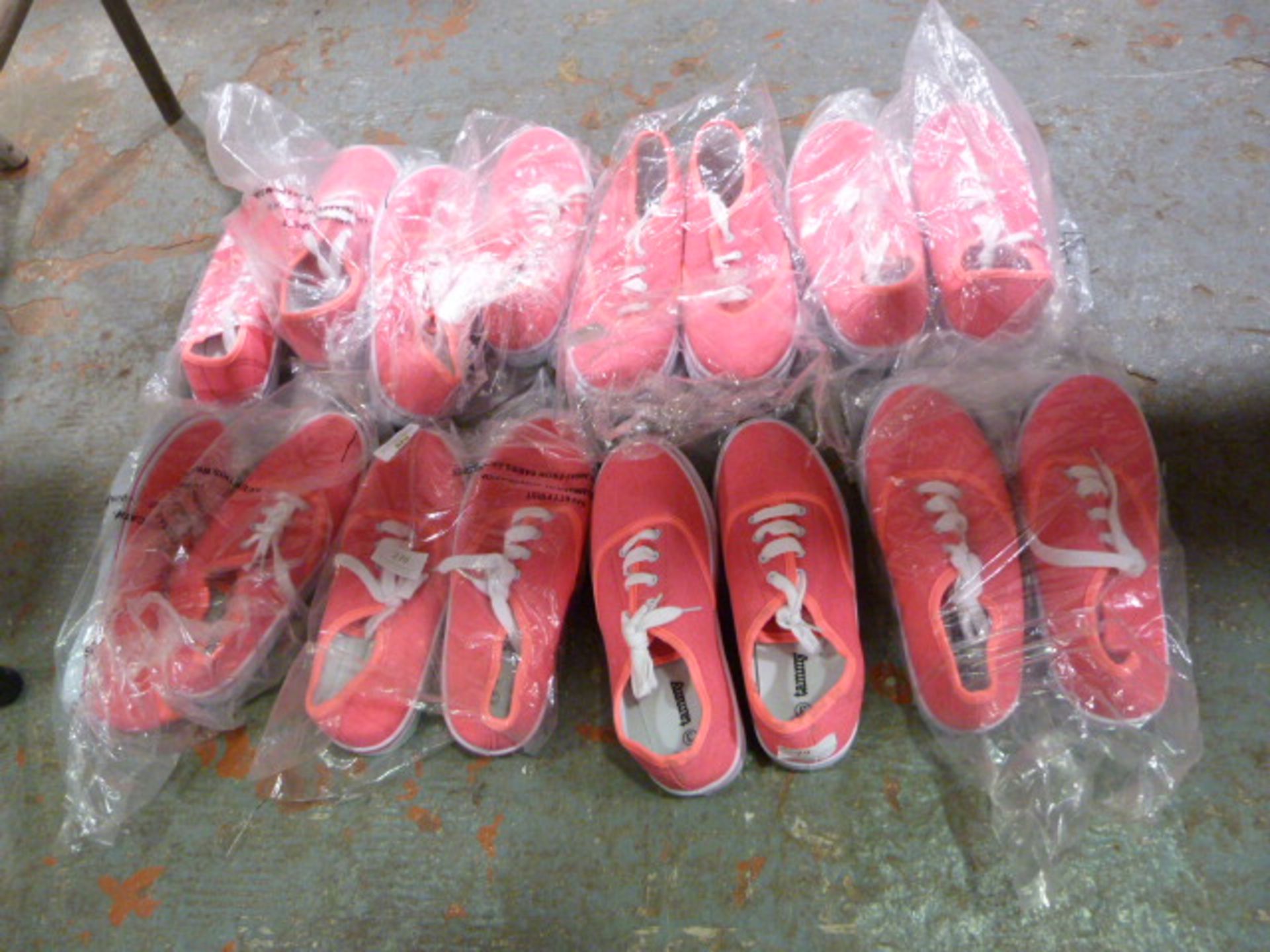 *Eight Pairs of Pink Size:3 Tammy Canvas Shoes