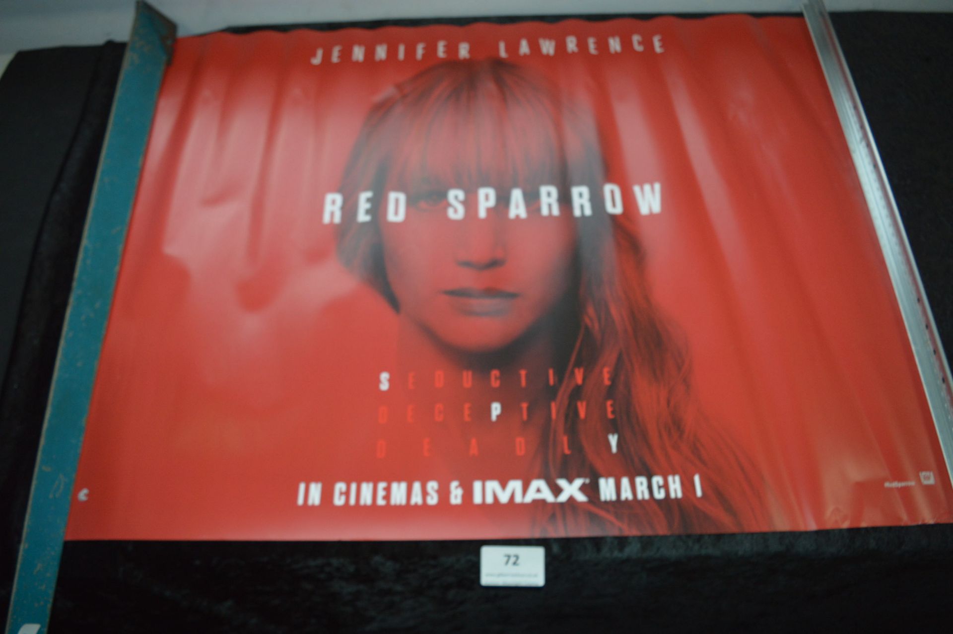 *Cinema Poster - Rec Sparrow