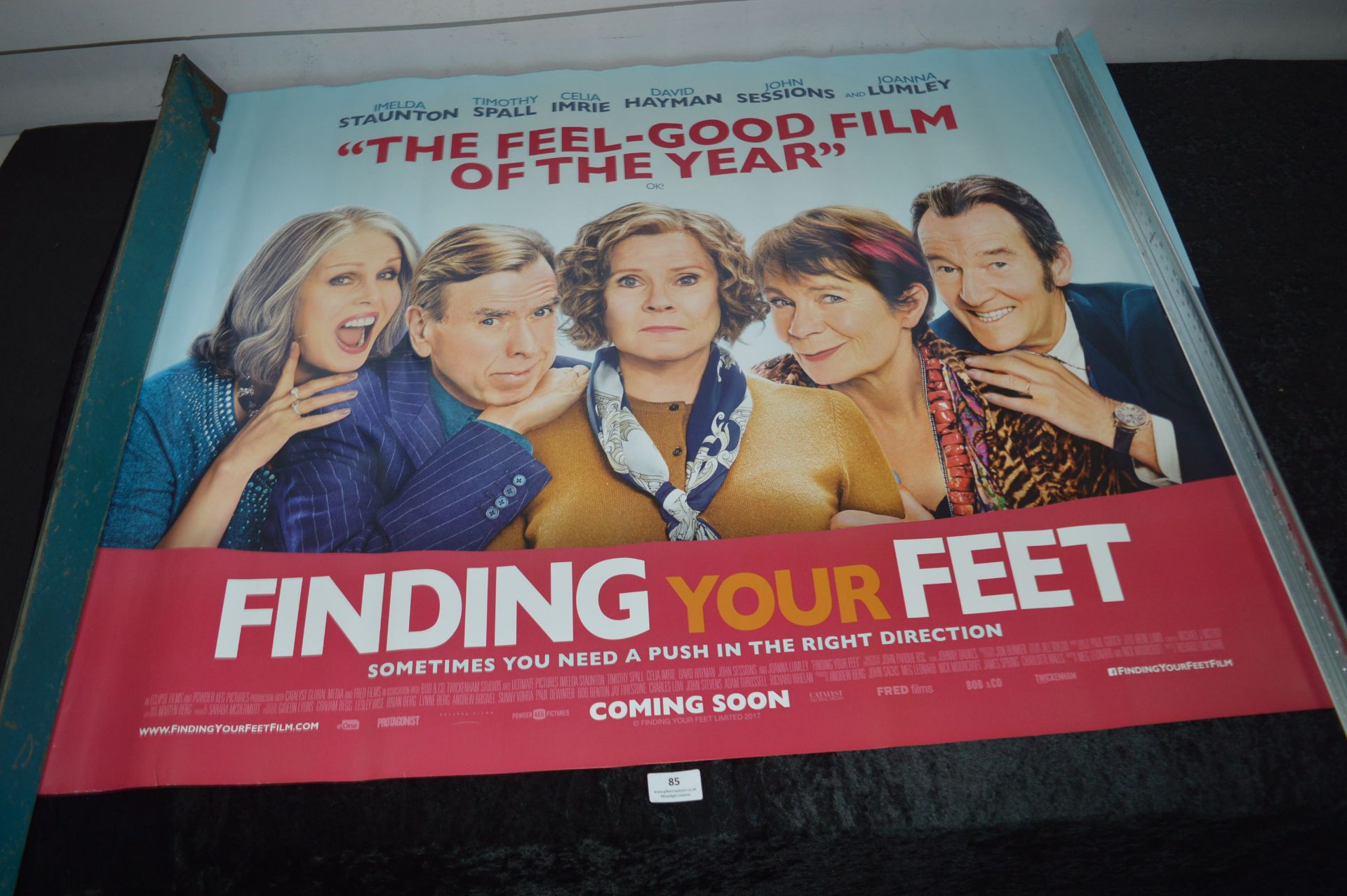 *Cinema Poster - Finding Your Feet