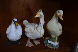 Assorted Decorative Water Fowl
