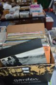 Collection of 12" LP Records
