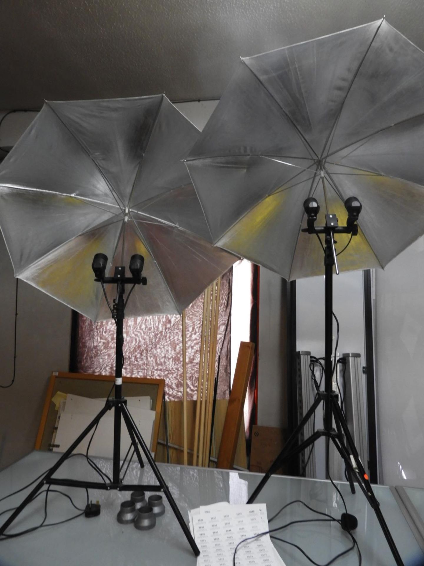 *Pair of Photography Lamps with Umbrella Diffusers