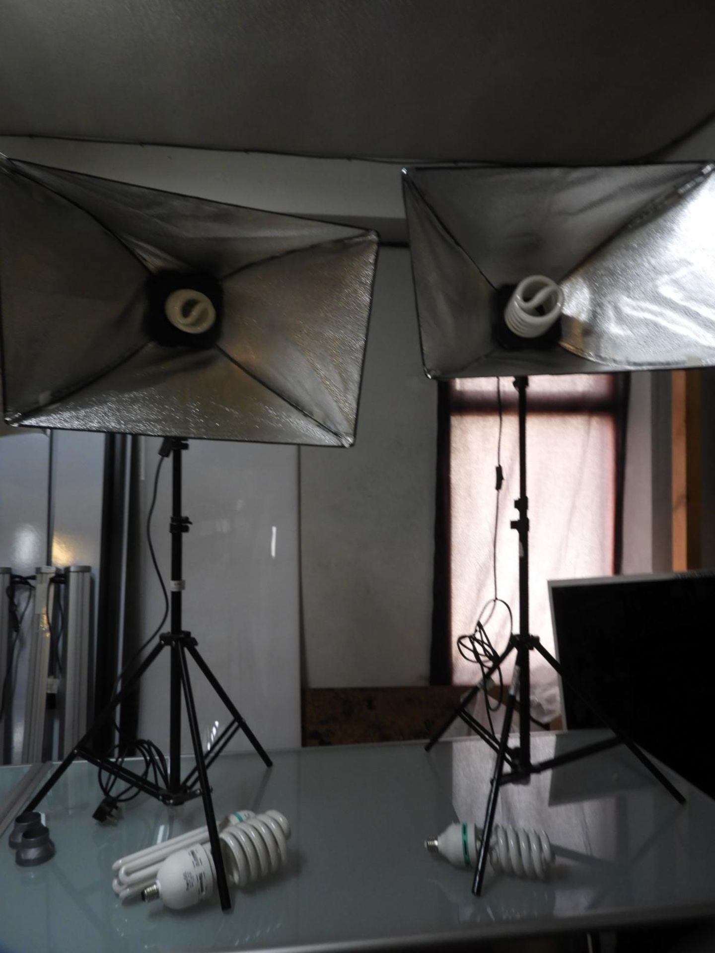 *Pair of Photography Lamps with Five Light Bulbs