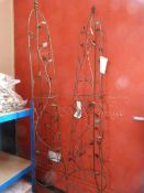 *Two Wire Nature Obelisks
