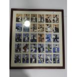 Collection of Various One Day Masters Cricketers in Frame