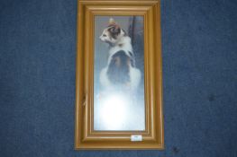 Framed Picture of a Cat