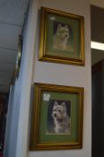 Pair of Gilt Framed Pictures of West Bull Terriers