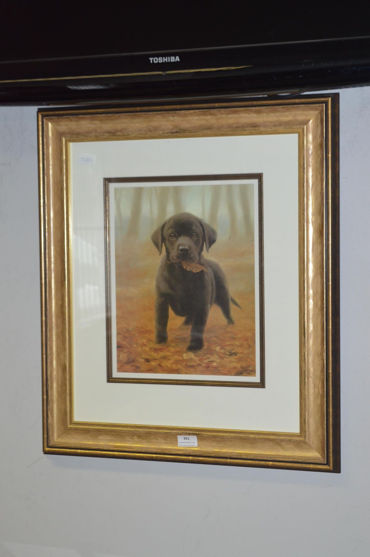 Gilt Framed Photograph of a Puppy